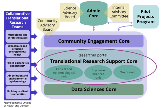 EDGE organizational structure showing the relationship of the Translational Research Support Core to the rest of the Center.