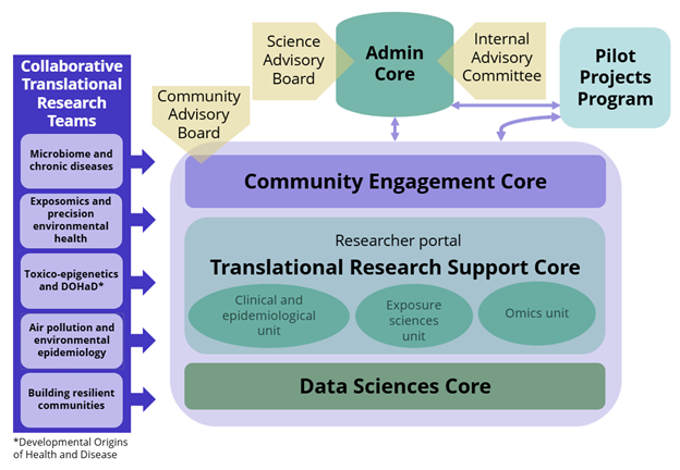 Structure chart for EDGE Center showing Admin Core at top with Community Engagement Core, Translational Research Support Core, and Data Sciences Core below. The Collaborative Translational Research Teams are to the side.