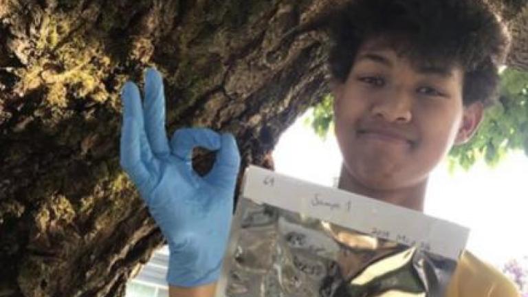 Young person collects moss sample from tree