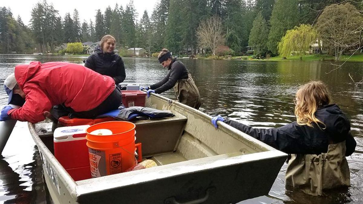 4 students launch a boat to take samples from Lake Killarney. Two students are in the boat, two students are in the water wearing waders and are pushing the boat out into the lake.