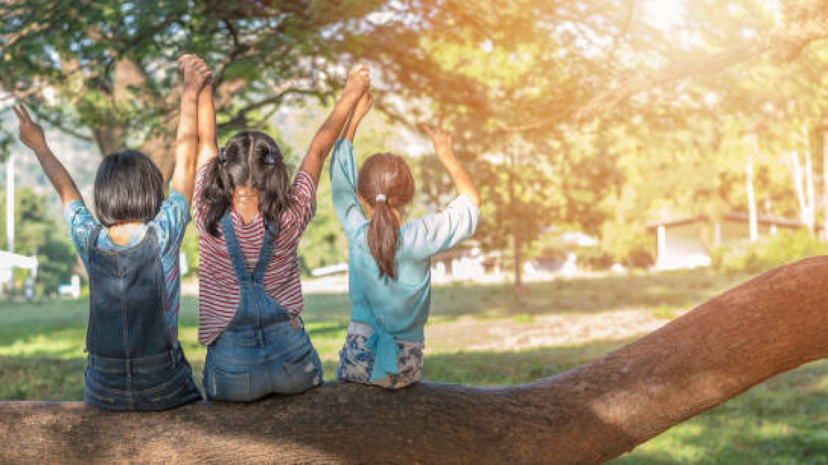 Three kids sit on a branch with their backs to the camera
