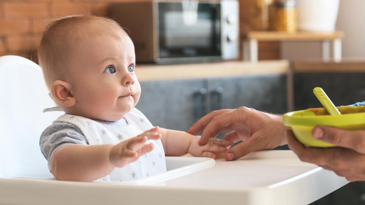 A baby wearing a bib sits in a high chair being fed