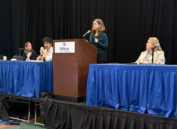 Christine Loftus presents at a podium as part of a panel.