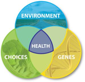 Graphic showing an overlap of environment, choices and genes, with health in the middle. 